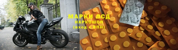 индика Нягань