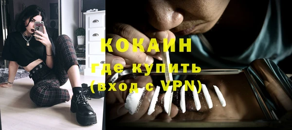 индика Нягань