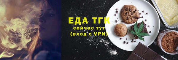 индика Нягань