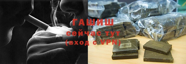 индика Нягань