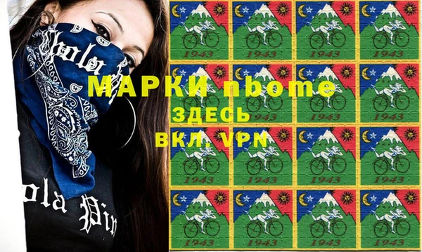 индика Осинники