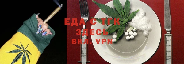 индика Нягань