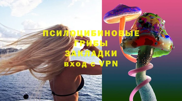 индика Нягань