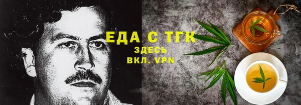 индика Нягань