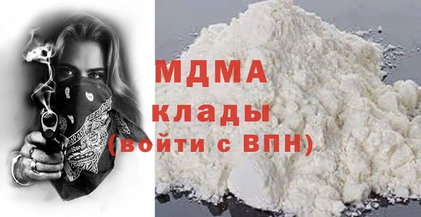 индика Нягань