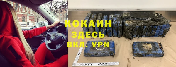 индика Осинники