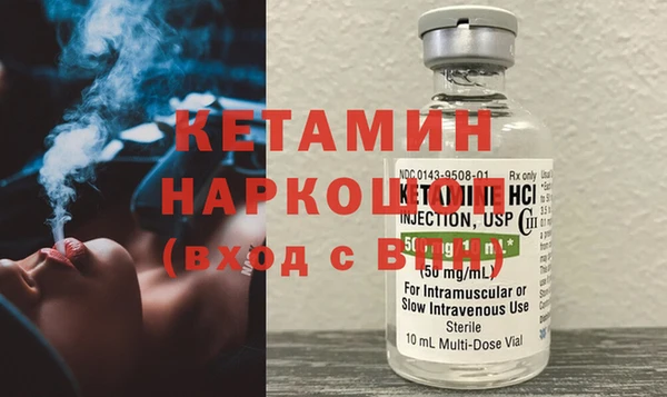 индика Осинники