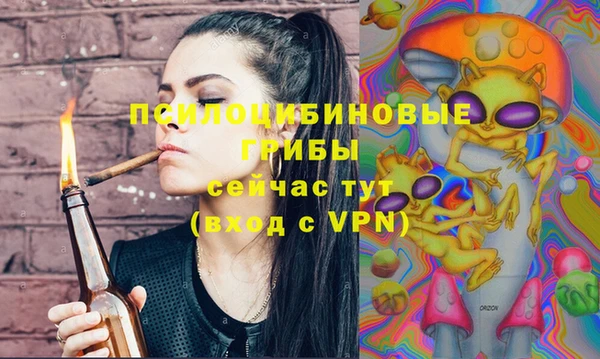 а пвп мука Инта