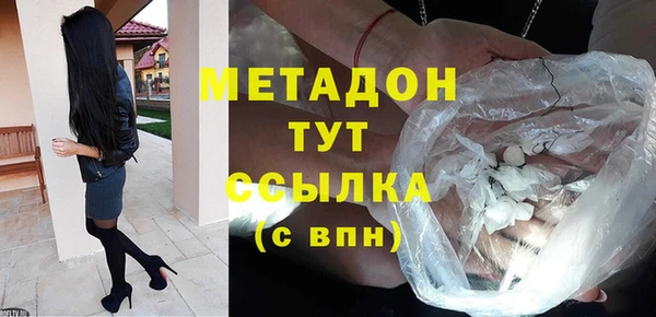 индика Нягань