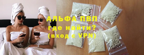 индика Нягань