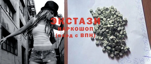 индика Осинники