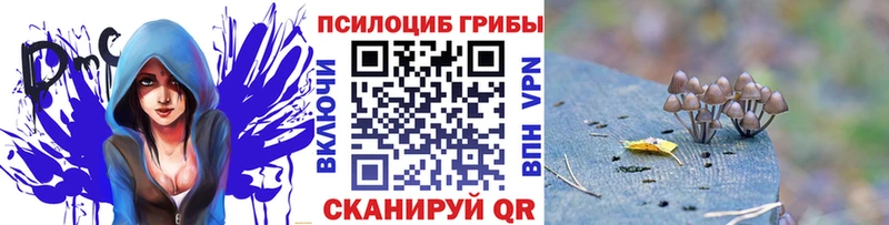 кракен онион  Липки  Псилоцибиновые грибы Cubensis 